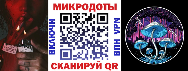 shop как зайти  Советский  Галлюциногенные грибы мицелий 